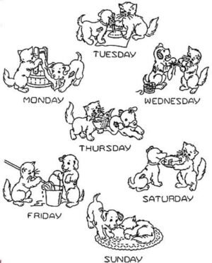 Dog & Cat Day of the Week